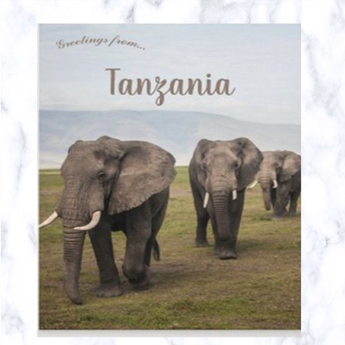 Elephants in Ngorongoro Tanzania Postcard