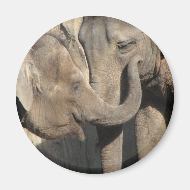 Elephants Magnet (Front)