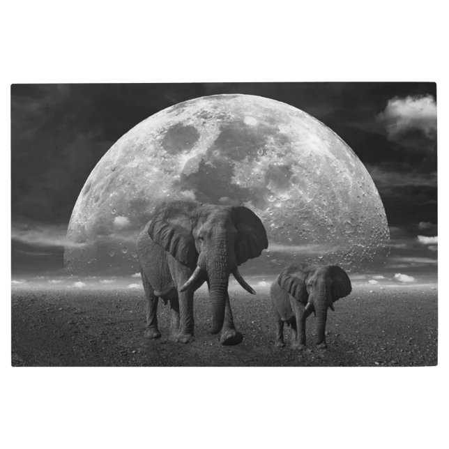 Elephants Metal Print (Front)