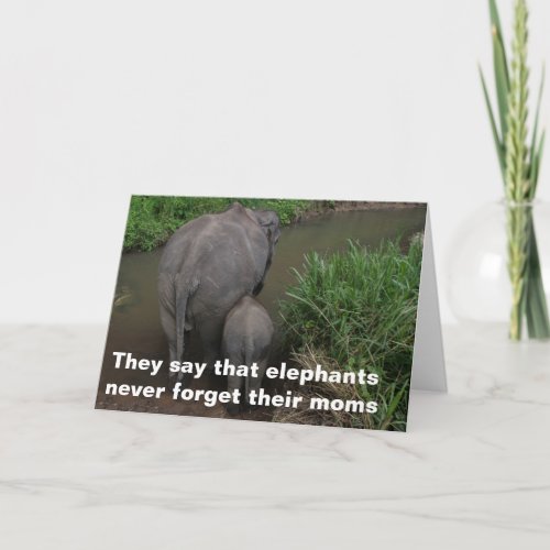 Elephants Never Forget Their Mothers Card