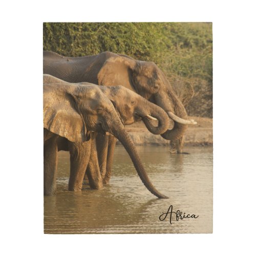 Elephants of Africa Animals Lovers Wood Wall Art