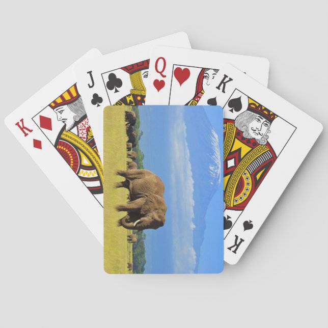Elephants of Amboseli Poker Cards (Back)
