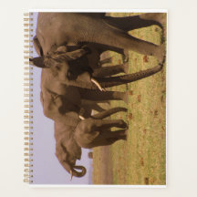 Elephants of Chobe Planner