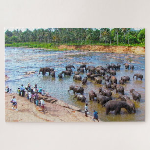 Elephants of Sri Lanka. Jigsaw Puzzle