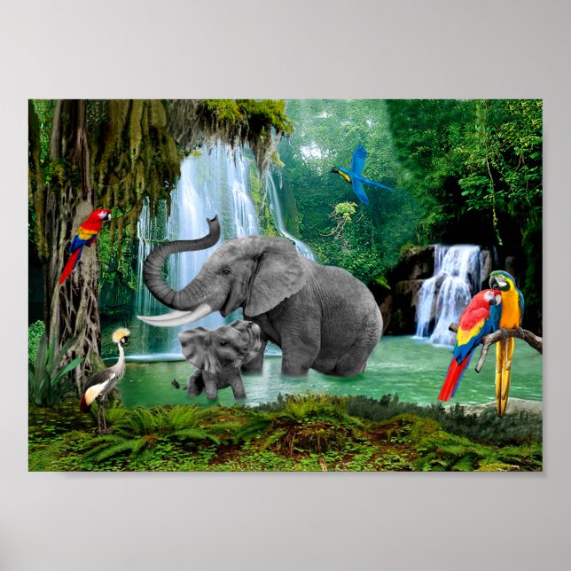 ELEPHANTS OF THE RAIN FOREST POSTER (Front)