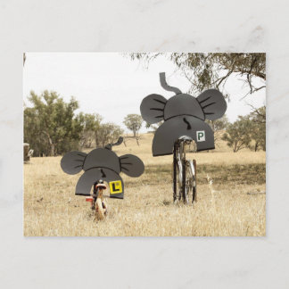 Elephants on Bikes Postcard