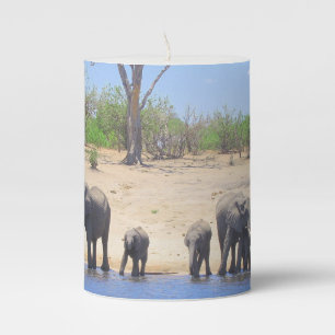 Elephants on the Banks of Chobe River Candle