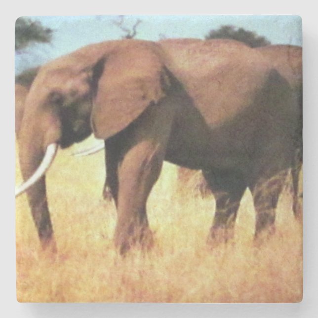 elephants on the move wild life square paper coast stone coaster (Front)