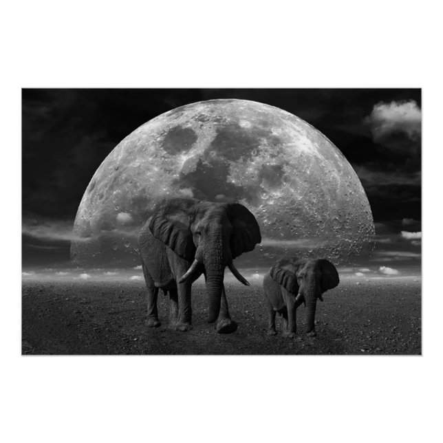 Elephants Poster (Front)