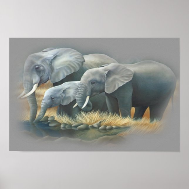 Elephants Poster (Front)
