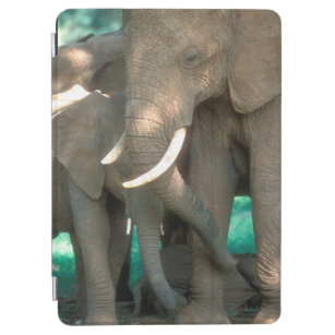 Elephant-Inspired Oakland A's Design iPad Case & Skin for Sale by