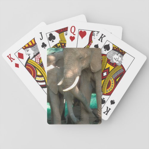 Elephants Protecting Young Playing Cards