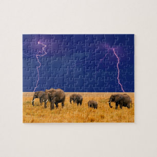 Elephants Puzzle