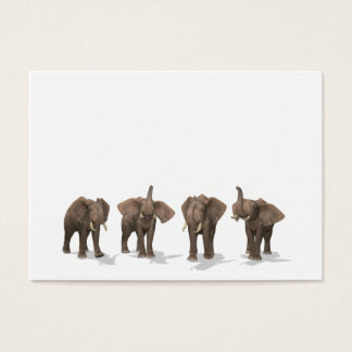 Elephants Quartet