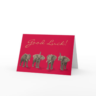 Elephants Quartet Card