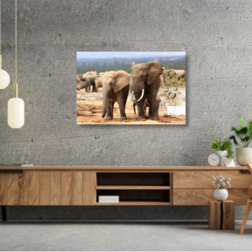 Elephants side by side Canvas Framed