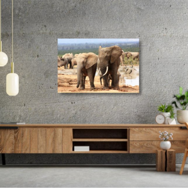 Elephants side by side Canvas Framed (Creator Uploaded)