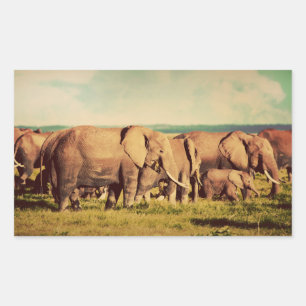 Elephants stickers