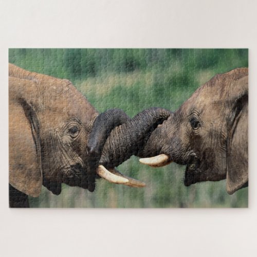 Elephants Together holding each other trunks Jigsaw Puzzle