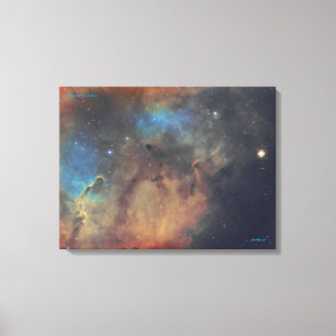 Elephant's Trunk Nebula - Medium Canvas Print