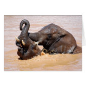 Elephants water world (Front Horizontal)