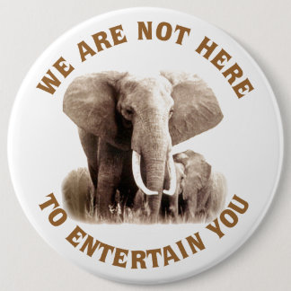 Elephats Deserve Respect Button