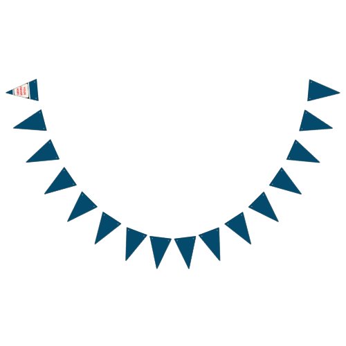 Elevate Your Parties with Vibrant Bunting Banners 