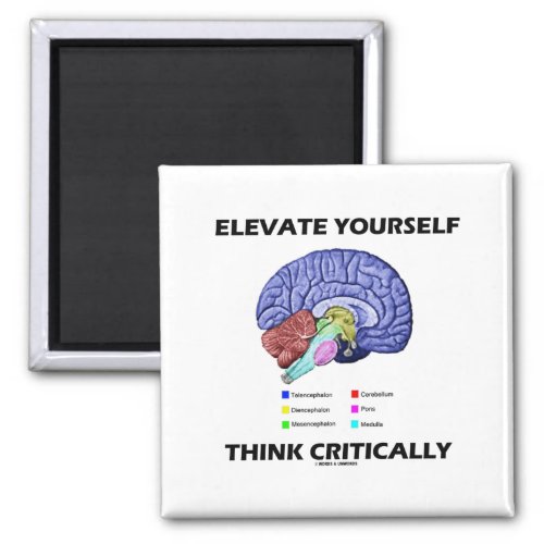 Elevate Yourself Think Critically Brainy Advice Magnet