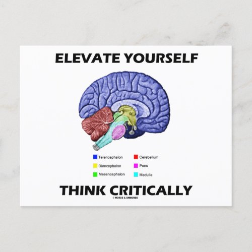 Elevate Yourself Think Critically Brainy Advice Postcard