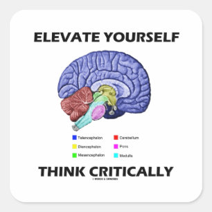 Elevate Yourself Think Critically Brainy Advice Square Sticker