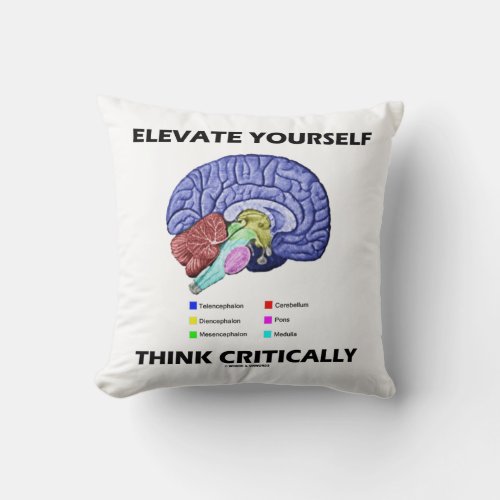 Elevate Yourself Think Critically Brainy Advice Throw Pillow