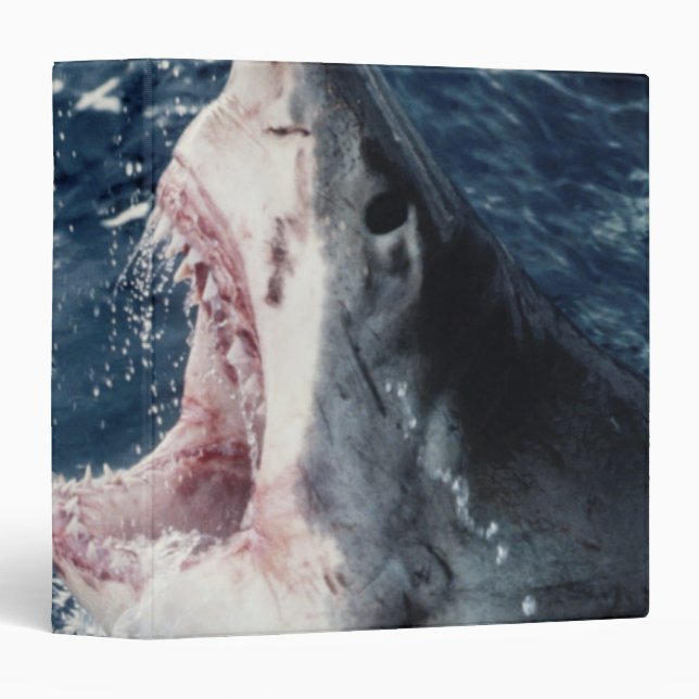 Elevated Shark mouth open 3 Ring Binder (Front/Spine)