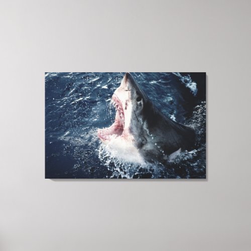 Elevated Shark mouth open Canvas Print