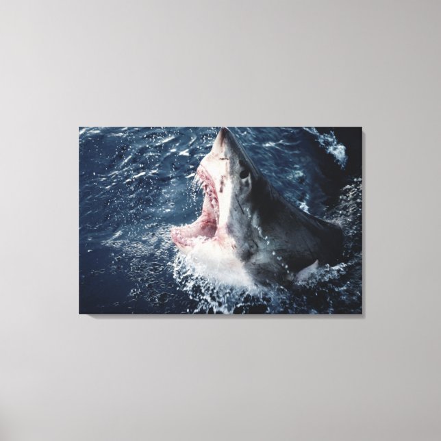 Elevated Shark mouth open Canvas Print (Front)