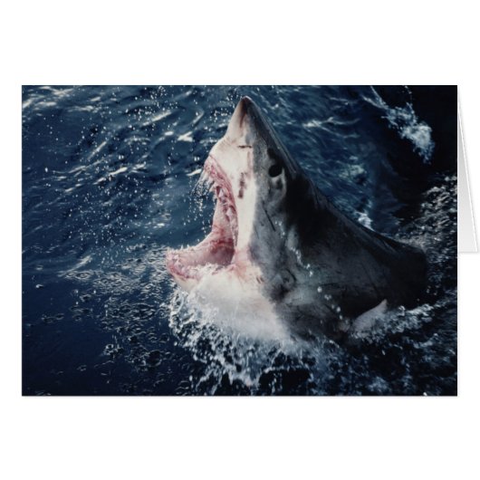 Elevated Shark mouth open Cards (Front Horizontal)