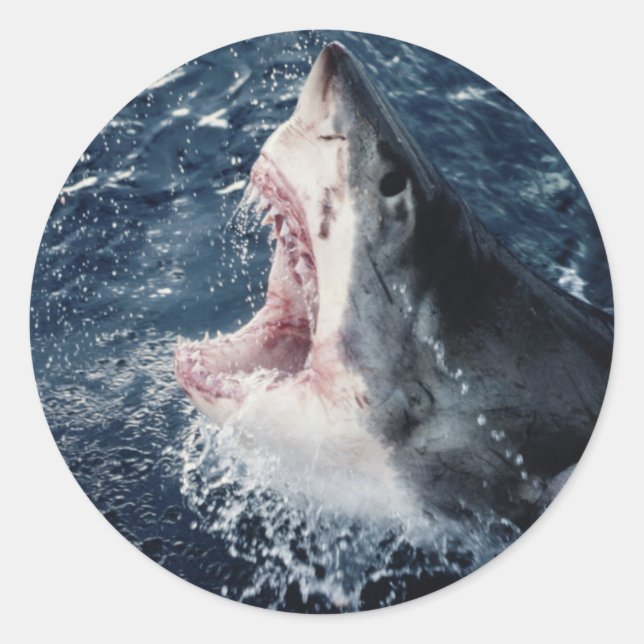 Elevated Shark mouth open Classic Round Sticker (Front)