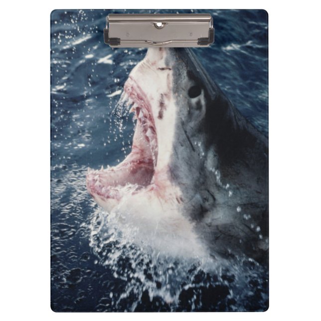 Elevated Shark mouth open Clipboard (Front)