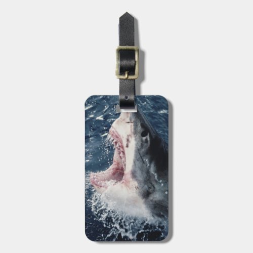 Elevated Shark mouth open Luggage Tag