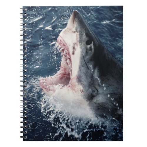 Elevated Shark mouth open Notebook