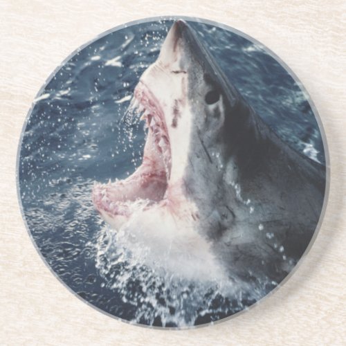 Elevated Shark mouth open Sandstone Coaster