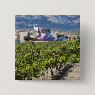 Elevated town view and Hotel Marques de Riscal Button