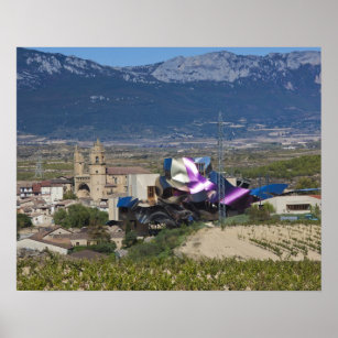 Elevated town view and Hotel Marques de Riscal Poster