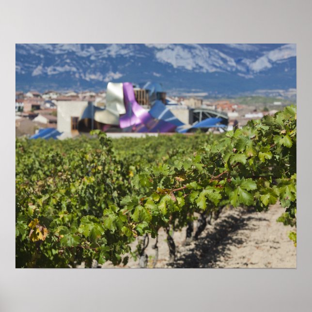 Elevated town view and Hotel Marques de Riscal Poster (Front)