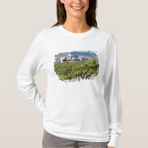 Elevated town view and Hotel Marques de Riscal T-Shirt