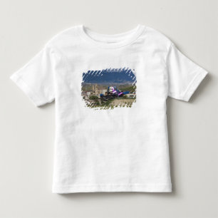 Elevated town view and Hotel Marques de Riscal Toddler T-shirt