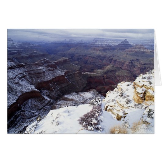 elevated view cards (Front Horizontal)