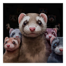 Eleven Stoic Ferrets Poster Wall Art