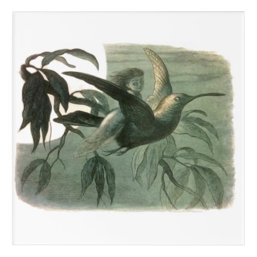 Elf Fairies Elves Moon Night Scene Bird Flying  Acrylic Print