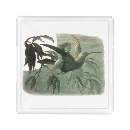 Elf Fairies Elves Moon Night Scene Bird Flying  Acrylic Tray