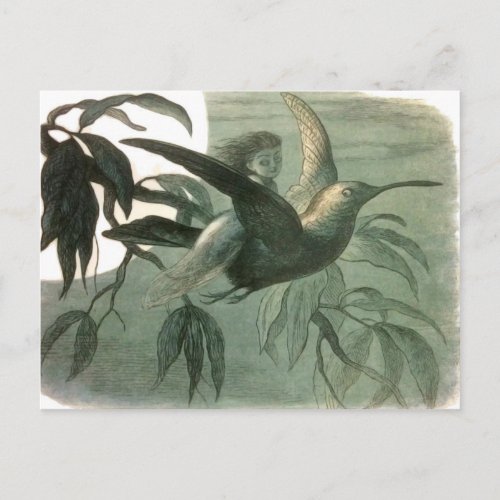 Elf Fairies Elves Moon Night Scene Bird Flying  Postcard